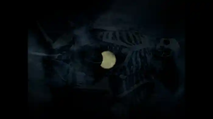 SWEET DREAMS FOREVER