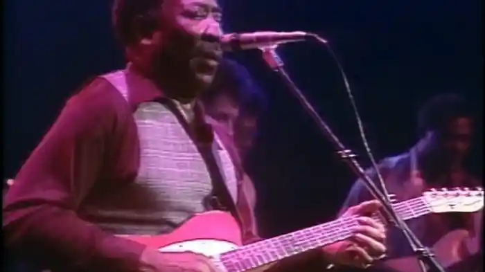 Muddy Waters - Got My Mojo Working