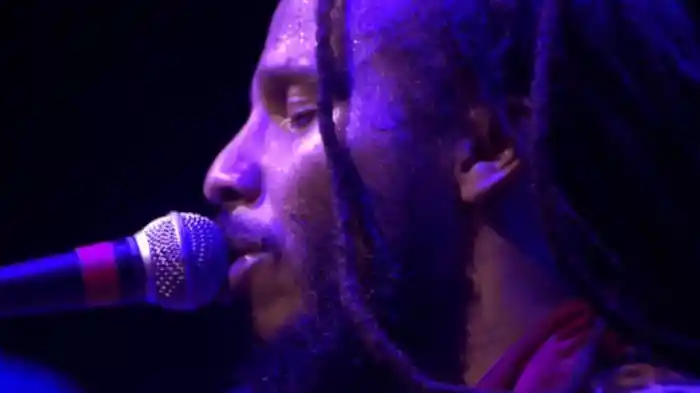 Ziggy Marley - Live at The Filmore
