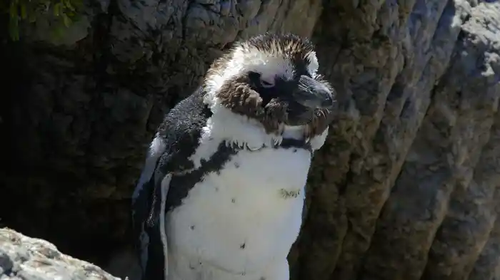 水が育むアフリカ