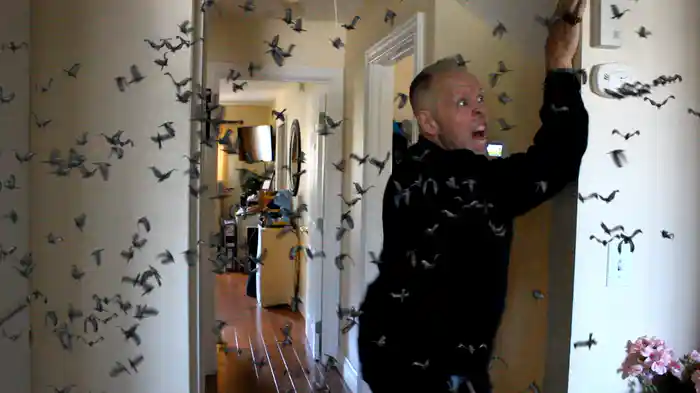 デストイレ ザ・ムービー