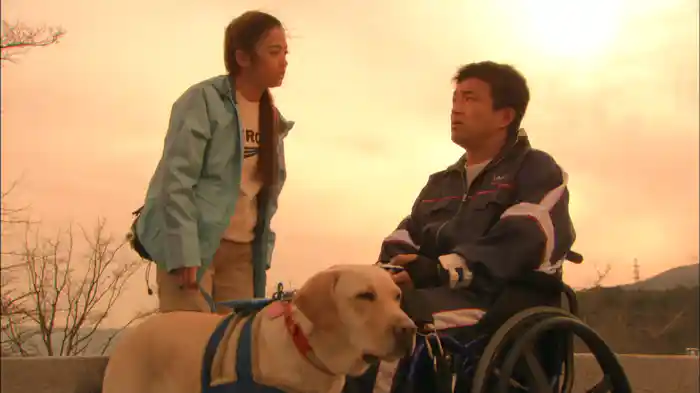 シンシア~介助犬誕生ものがたり~