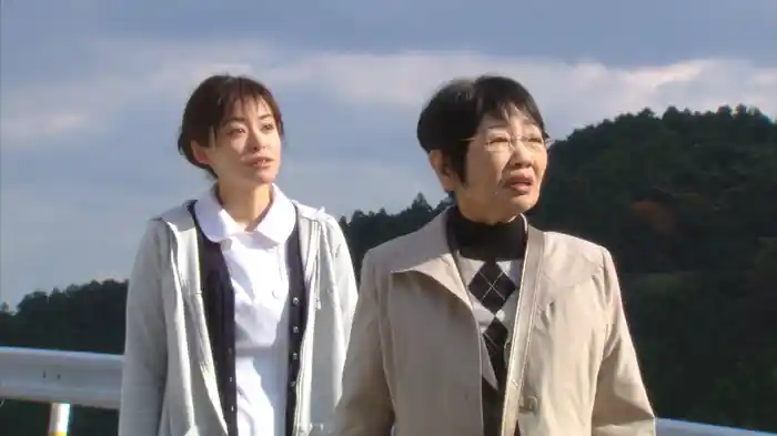 おふくろ先生の診療日記2~1枚の葉っぱが生んだ奇跡の物語~