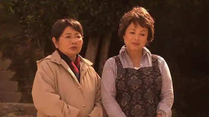 おふくろ先生の診療日記7～忘れない!20年前の約束 神戸･淡路島編～