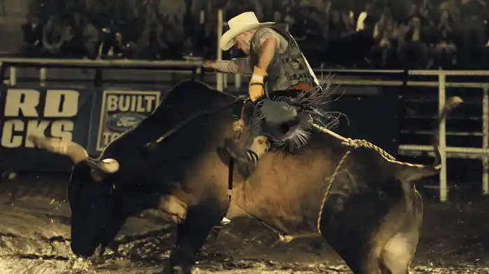 ラスト・ロデオ ～約束のフィールド～