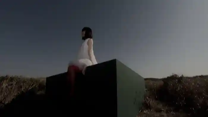 トライアングラー