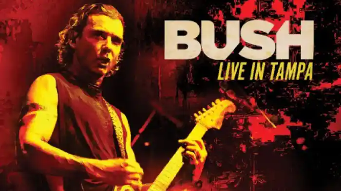 Bush - Live in Tampa