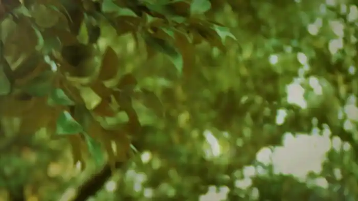 HELLO.SWEET～陽の当たる坂道～