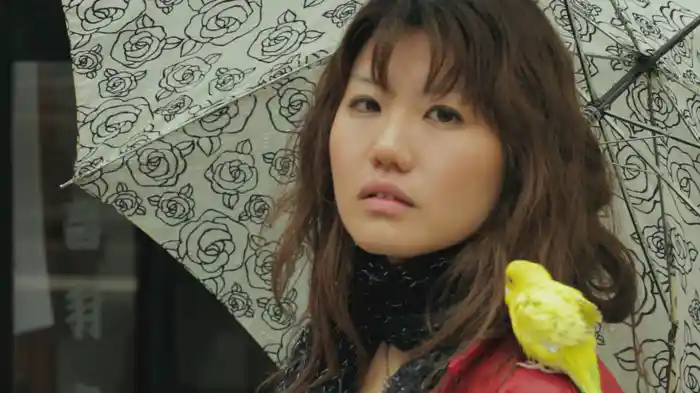 ポッポー町の人々