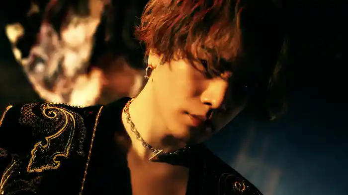 Can You See The Light