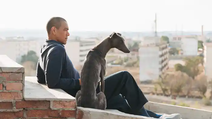 ブラックドッグ