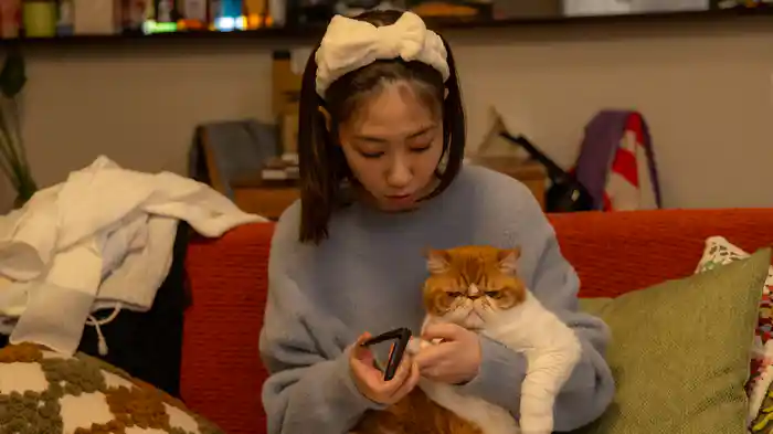 元カレの猫を、預かりまして。