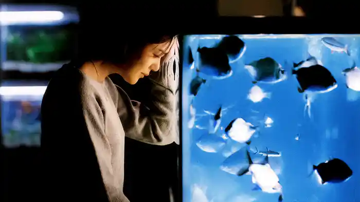 シュリ デジタルリマスター