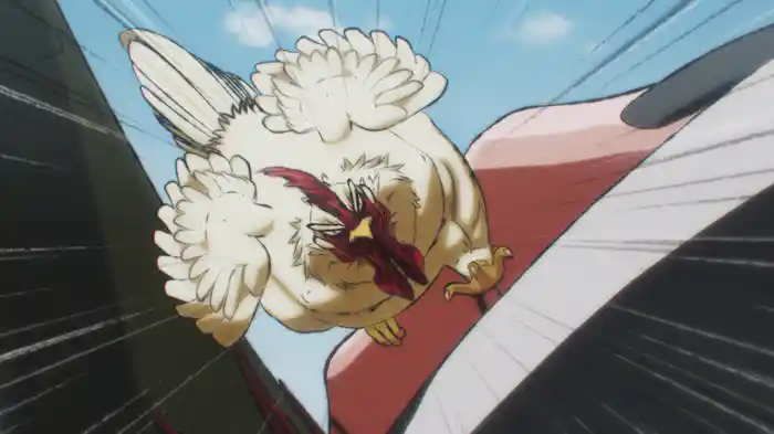 ニワトリ・ファイター