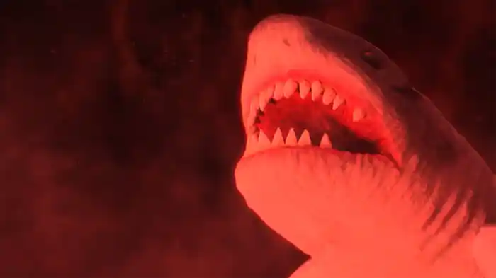 ウィジャ・シャーク3