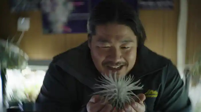 変態植物倶楽部