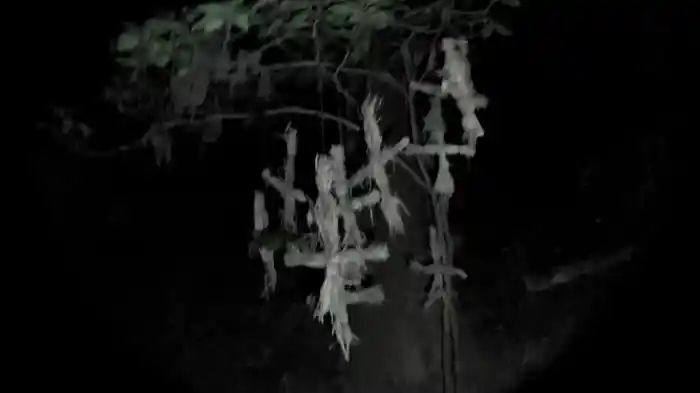 封印映像83 トラウマ
