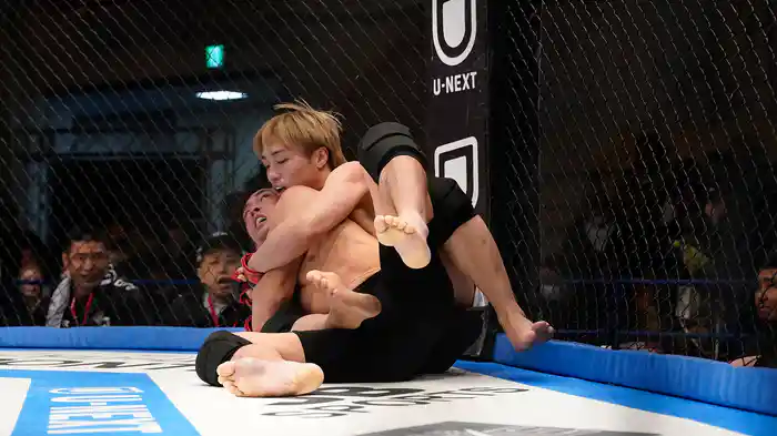 DEEP 130 IMPACT