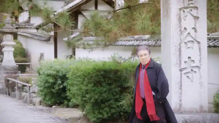 長谷寺の雨 ~晩秋の大和路~