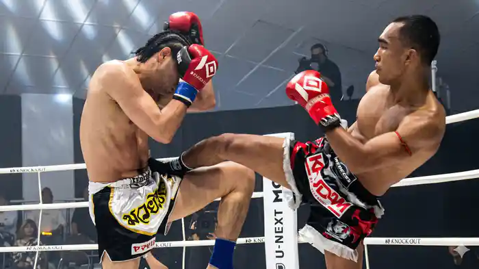 KNOCK OUT REBELS SERIES.10