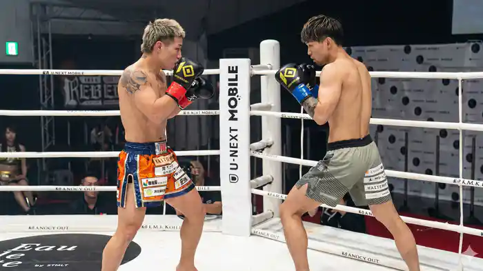 KNOCK OUT REBELS SERIES.9
