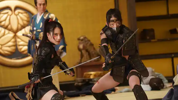 NINJA WARS ～BLACKFOX VS SHOGUN'S NINJA～