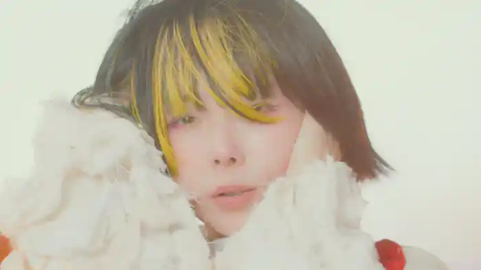 Cry High Fly
