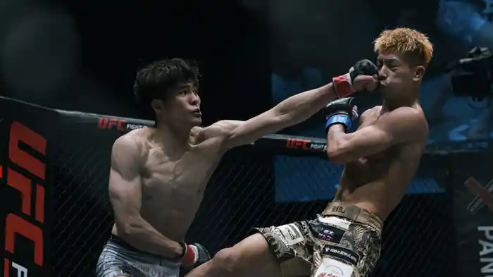 PANCRASE 362