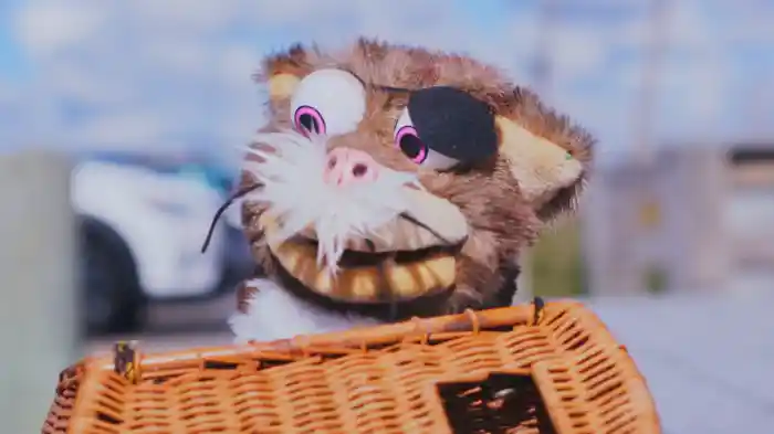 キャットシャーク