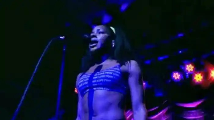 The Go! Team - Live at Brooklyn Bowl