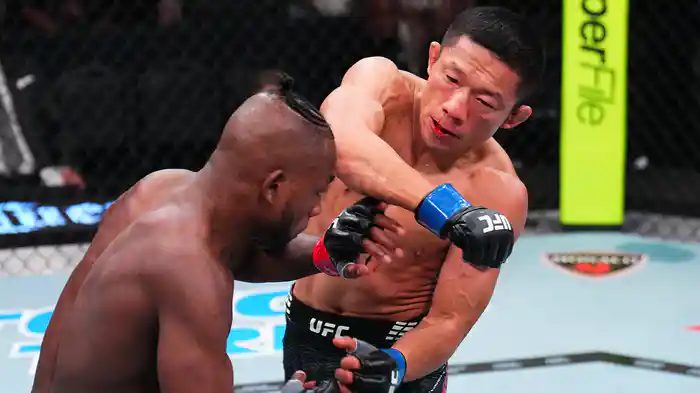 UFC ファイトナイト：ケイプ vs. 堀口