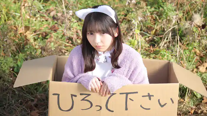 うちの会社の小さい先輩の話