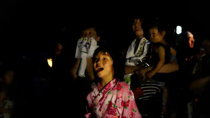 LIGHT UP NIPPON 〜日本を照らした、奇跡の花火〜