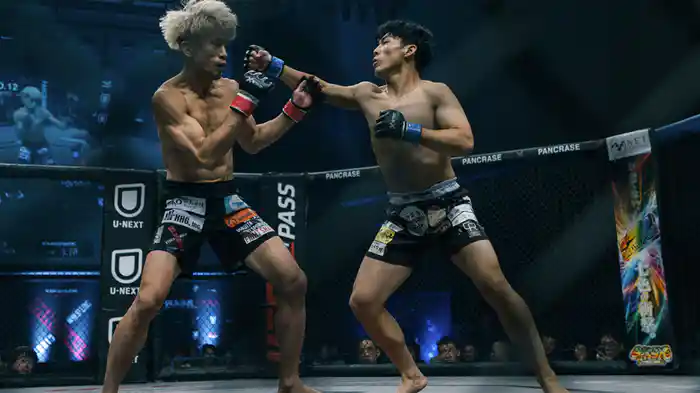 PANCRASE BLOOD.12