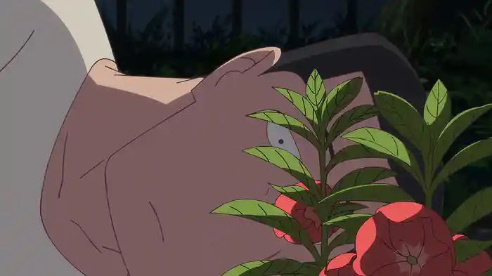 ホウセンカ