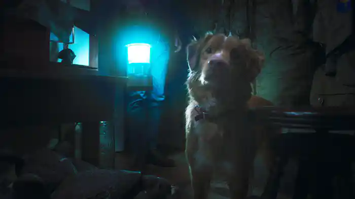 GOOD BOY/グッド・ボーイ
